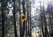 El «enigma» del Camino de Invierno