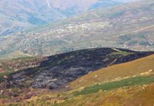 «No al terrorismo incendiario»
