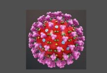 Televisión y teléfono gratuito para los pacientes de coronavirus
