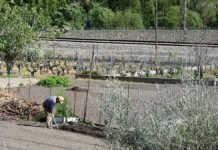 Ya se puede cultivar huertas a 5 kilómetros de casa y obrar en edificios