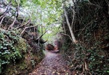 A Rúa idea una nueva ruta de senderismo que incluirá A Carrúa Fonda y «Ponte Pérez» A Carrúa Fonda en A Rúa