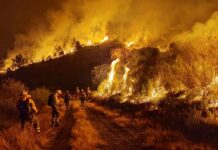 Primer gran incendio forestal del verano en Carballeda