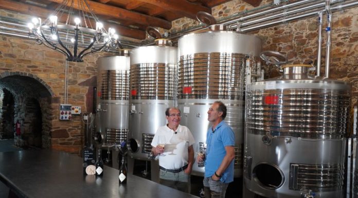 Bodegas Blare, reconocida con la certificación de producción ecológica Bodegas Blare, certificación de producción ecológica