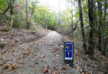 «Amigos do Camiño» anima a participar en su recorrido por el Camino de Invierno