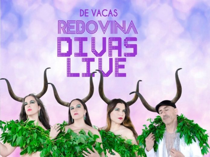 valdeorrasdecerca_De Vacas_2026_10_07