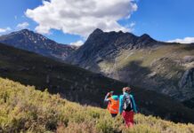 Eco dos Teixos programa un «viaje» al origen de Trevinca