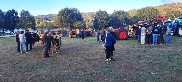 valdeorrasdecerca_Exposicion-Agrogandeira-Crianza-Trevinca