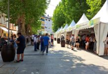 Concurso de Carteles para la XXVI Feira do Viño de Valdeorras