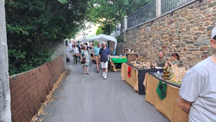 valdeorrasdecerca_Feria Medieval_Tremiñá_O Barco_2025_07_13 (36)