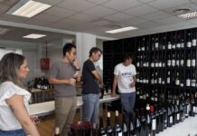 Un «godello» de Valdeorras, uno de los dos mejor puntuados en la Guía Peñín