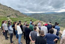 Alumnos del Instituto Galego do Viño conocieron in situ el potencial enológico de Valdeorras