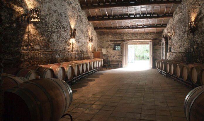 valdeorrasdecerca_Joaquin-Rebolledo_bodega_A-Rua_2022_08_12-11