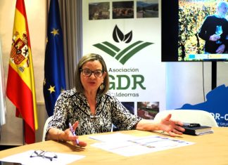 O PSTD remata en Valdeorras mobilizando 1,5 millóns de euros na transformación turística PSTD, GDR Valdeorras, María del Carmen González