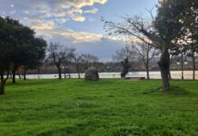 O ANPA do CEIP Manuel Respino da Rúa invita á veciñanza a unha festa das Letras Galegas o 16 de maio no Aguillón