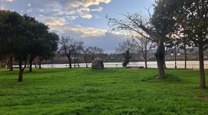 O ANPA do CEIP Manuel Respino da Rúa invita á veciñanza a unha festa das Letras Galegas o 16 de maio no Aguillón