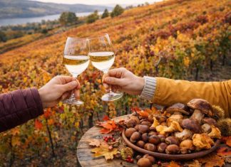 Outono Gastronómico en Galicia