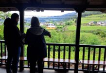 Primavera de Portas Abertas en Galicia: Cien actividades en las Rutas dos Viños