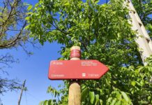 Nueva señalización y mejora de la Vía Nova en Petín