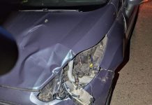 Un corzo causa un accidente en la N-120, en A Rúa accidente en la N-120 en A Rúa a causa de un corzo