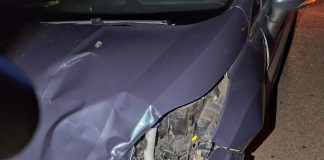 accidente en la N-120 en A Rúa a causa de un corzo