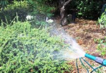 ¡Ahorremos agua!: Cada gota cuenta en el Planeta