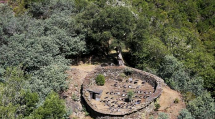V NOVE finaliza en el Parque Natural Serra da Enciña da Lastra (Rubiá): Una ruta con sabor a miel