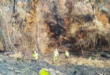 José Antonio Quiroga, presidente de la CHMS: «El plan de choque post-incendios del Gobierno está en marcha»