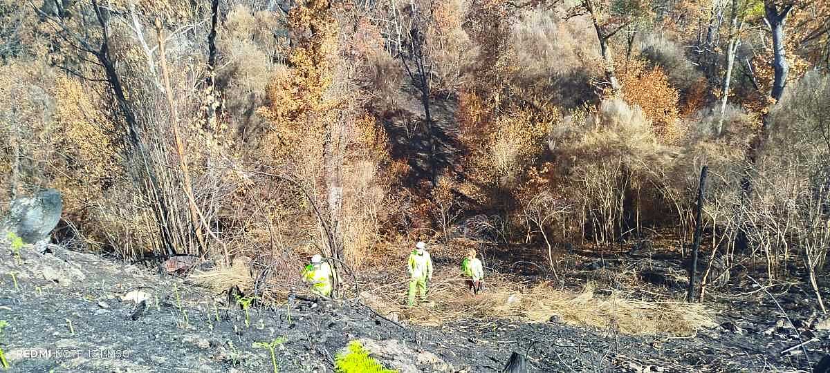 José Antonio Quiroga, presidente de la CHMS: «El plan de choque post-incendios del Gobierno está en marcha»