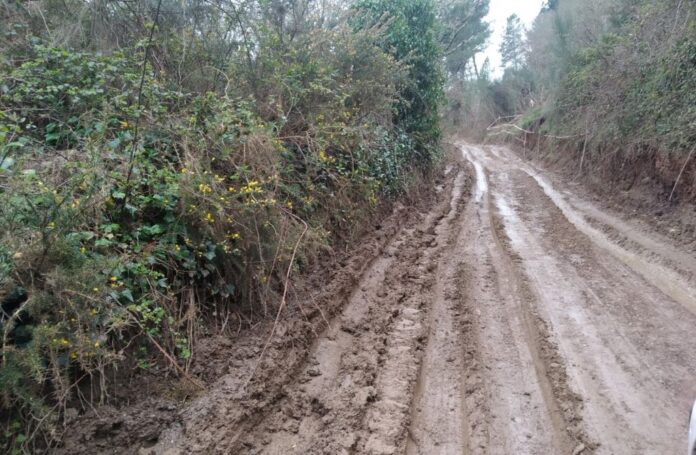 valdeorrasdecerca_caminos_tala_Veigamuiños_2021_03_14 (2)