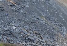 El Clúster de la Pizarra exige una solución a la falta de suministro eléctrico en Quiroga