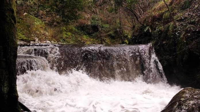 valdeorrasdecerca_captación de agua_crecida del río_Veigamuiños_A Proba_Tremiñá_2026_02_11 (1)