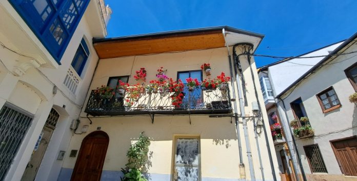 valdeorrasdecerca_casco viejo_O Barco_Flores_2026_04_14 Flores en el Camino de Invierno