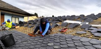 Colocadores de pizarra