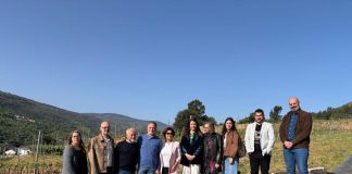 conselleira de Medio Rural, Roandi, sector vitivinícola