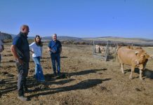María José Gómez reafirma en Vilariño o apoio de Medio Rural ás explotacións gandeiras afectadas polos incendios
