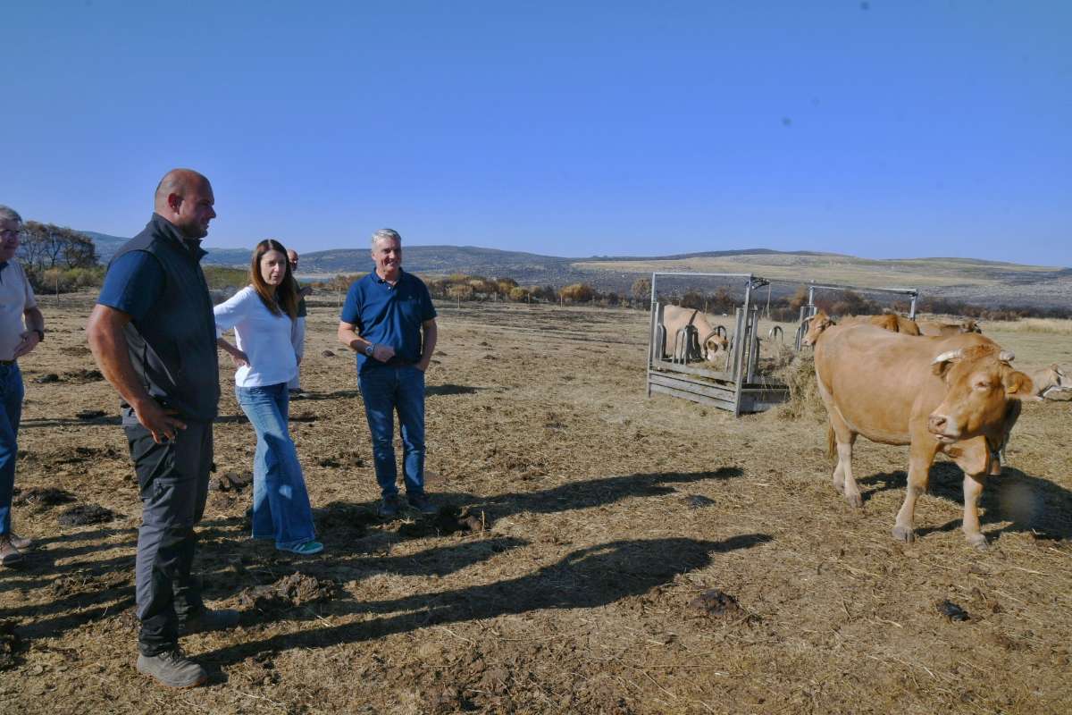 María José Gómez reafirma en Vilariño o apoio de Medio Rural ás explotacións gandeiras afectadas polos incendios