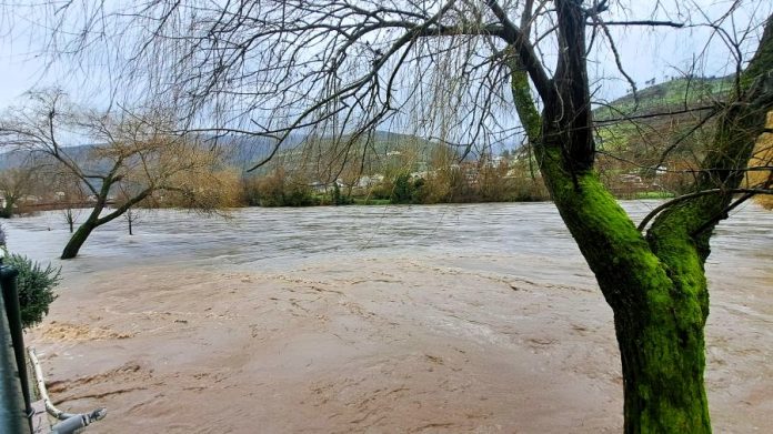 valdeorrasdecerca_crecida del río Sil_O Barco_2026_02_11 (13)