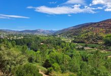 Las ayudas a la reconstrucción abren un nuevo futuro después de los incendios