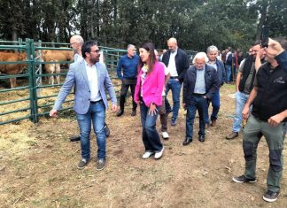 El rural, oficios antiguos y nuevas tecnologías conviven en la gran Exposición Agrogandeira de A Veiga