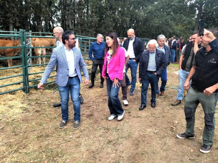 valdeorrasdecerca_exposición agroganadera Crianza Trevinca_A Veiga_2026_10_03 (3)