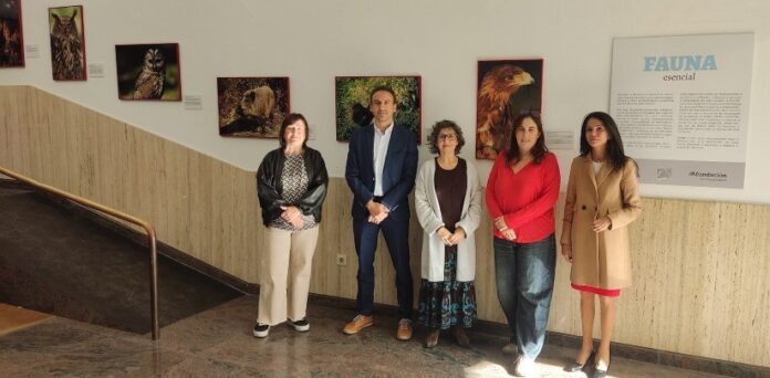 valdeorrasdecerca_fauna esencial_exposición_A Rúa_2026_10_28