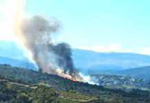 Incendio forestal en O Bolo