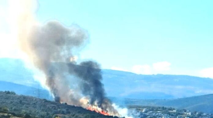 Incendio forestal en O Bolo