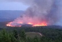 Un rayo pudo originar el incendio forestal en Seadur