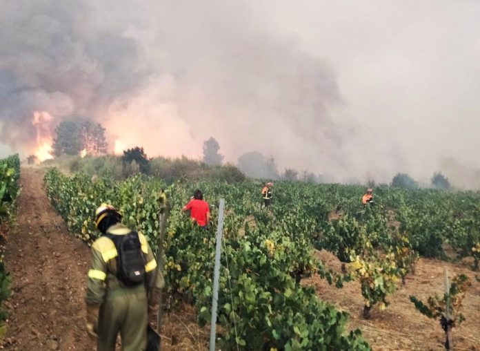 valdeorrasdecerca_incendio_Seadur_2025_08_13 (4)