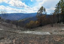 A Deputación destina 6,1 millóns de euros aos concellos para colaborar en 191 iniciativas relacionadas cos efectos dos lumes