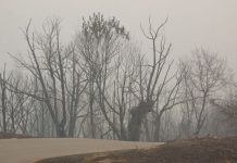 Detenido un vecino de Petín al que se le atribuye un incendio