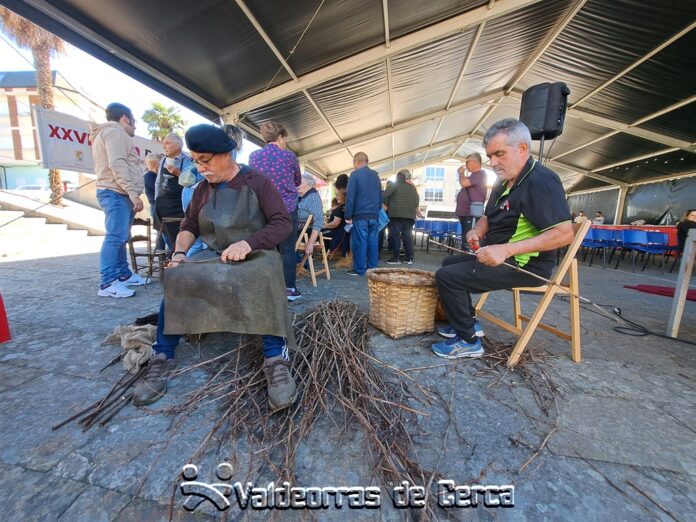 valdeorrasdecerca_injerta_injertadores_Vilamartín_2024_04_20 (4)