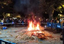 Gran magosto por San Martiño en Viloira