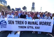 Celso Delgado: «Los incendios imponen ahora más que nunca la rectificación de los horarios del AVE en A Gudiña»
